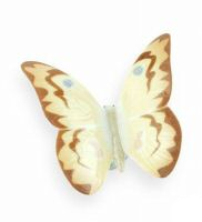 Nao Bellezza del cielo 1465